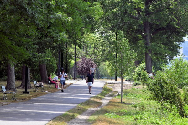Chapter 7: Runners on Charles River Esplanade in Boston, Massachusetts - Encircle Photos