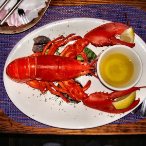 Lobster Dinner at Cape Cod, Massachusetts - Encircle Photos