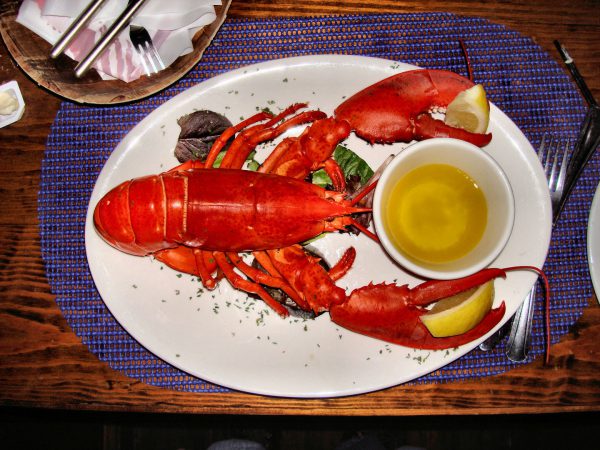 Lobster Dinner at Cape Cod, Massachusetts - Encircle Photos