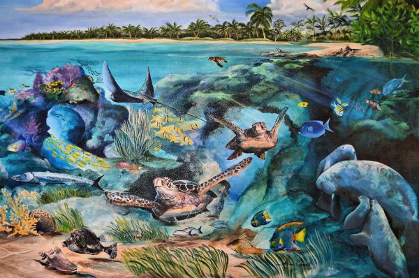 Marine Ecosystem Mural in Akumal, Mexico - Encircle Photos
