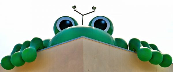 Señor Frog’s Marquee in Cabo San Lucas, Mexico - Encircle Photos