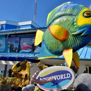 Aquaworld Snorkeling and Diving in Cancun, Mexico - Encircle Photos
