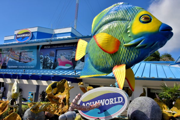 Aquaworld Snorkeling and Diving in Cancun, Mexico - Encircle Photos