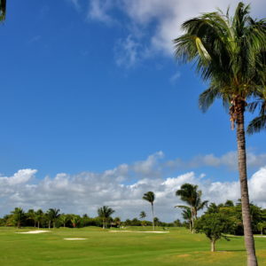 Golf Course Alternatives in Cancun, Mexico - Encircle Photos