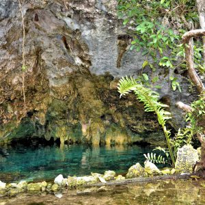 Cenote Definition like Gran Cenote near Cobá, Mexico - Encircle Photos