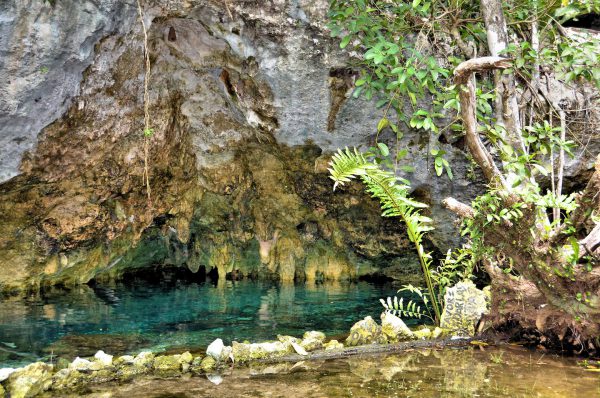 Cenote Definition like Gran Cenote near Cobá, Mexico - Encircle Photos