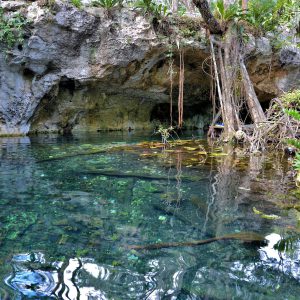 Scuba Diving at Gran Cenote near Cobá,  Mexico - Encircle Photos