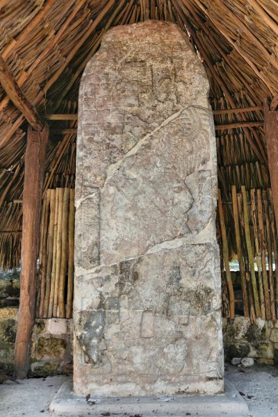 Stela 20 of Ruler D at Mayan Ruins in Coba, Mexico - Encircle Photos