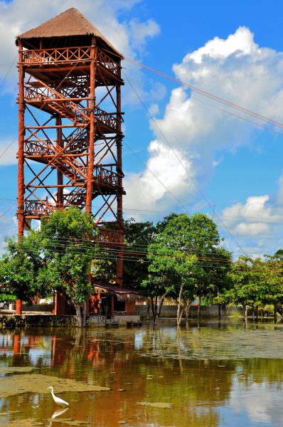 Zip Line Tower near Mayan Ruins in Coba, Mexico - Encircle Photos