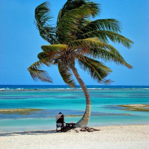 Man Sitting under Palm Tree for a Perfect Afternoon at Costa Maya, Mexico - Encircle Photos