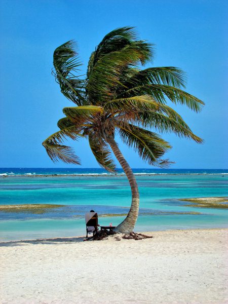 Man Sitting under Palm Tree for a Perfect Afternoon at Costa Maya, Mexico - Encircle Photos
