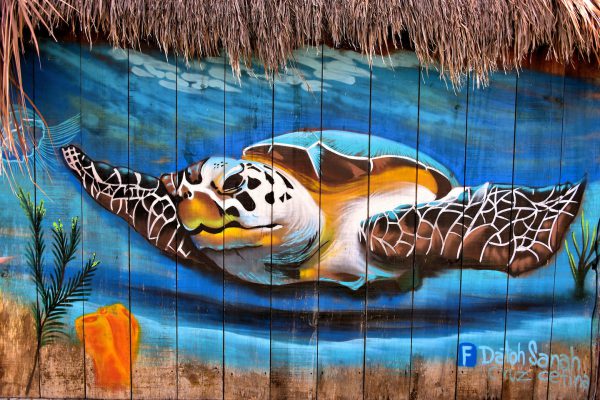 Hawksbill Sea Turtle Mural near San Miguel, Cozumel, Mexico - Encircle Photos