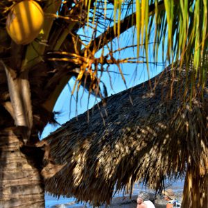 Friends Enjoying Playa Palancar near San Miguel, Cozumel, Mexico - Encircle Photos