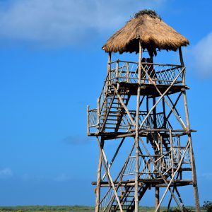 Observation Tower at Colombia Lagoon at Punta Sur near San Miguel, Cozumel, Mexico - Encircle Photos