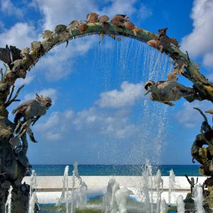 Tribute to Coral Reefs in San Miguel, Cozumel, Mexico - Encircle Photos