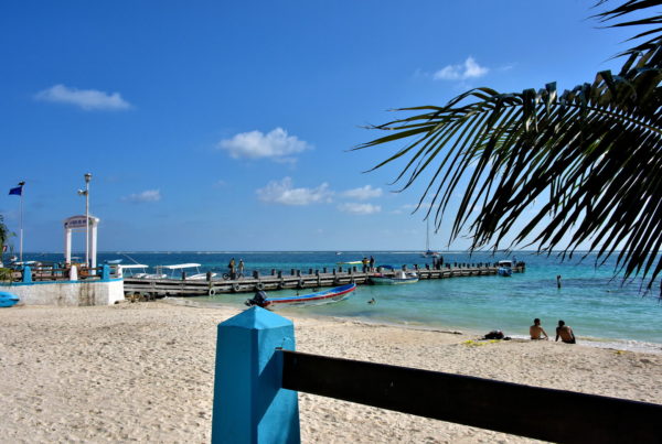 Sports Fishing in Puerto Morelos, Mexico - Encircle Photos