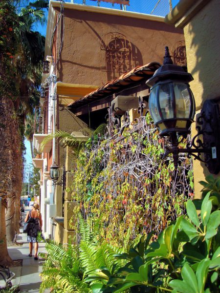 Woman Sightseeing in San José del Cabo, Mexico - Encircle Photos