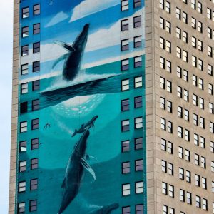 Humpback Whale Mural on Broderick Tower by Wyland in Detroit, Michigan - Encircle Photos