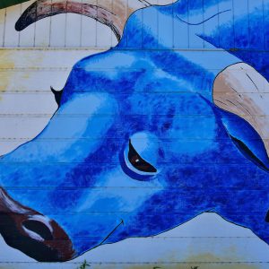 Babe the Blue Ox Mural in Akeley, Minnesota - Encircle Photos