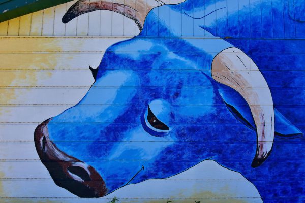 Babe the Blue Ox Mural in Akeley, Minnesota - Encircle Photos