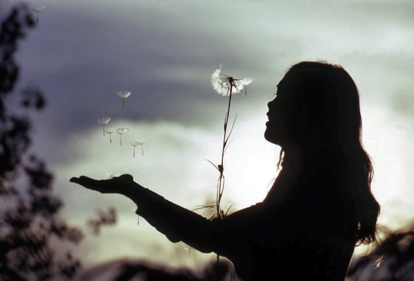 Girl Silhouette Catching Floating Dandelion in Saint Paul, Minnesota - Encircle Photos
