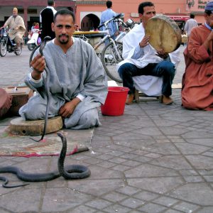 Snake Charmers at Jemaa el Fna in Marrakech, Morocco - Encircle Photos