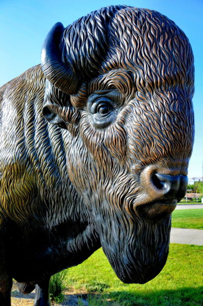 Fiberglass Bison Statue at Great Platte River Road Archway near Kearney, Nebraska - Encircle Photos