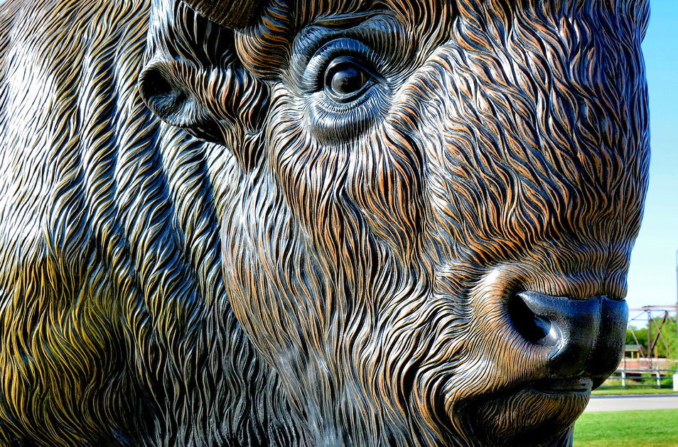 Fiberglass Bison Statue at Great Platte River Road Archway near Kearney