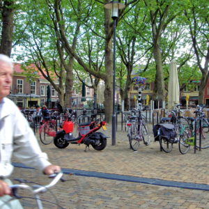 Beestenmarkt Square in Delft, Netherlands - Encircle Photos