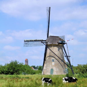 Windmill Museums in Kinderdijk, Netherlands - Encircle Photos
