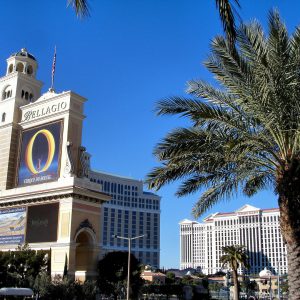 Bellagio and Caesars Palace in Las Vegas, Nevada - Encircle Photos