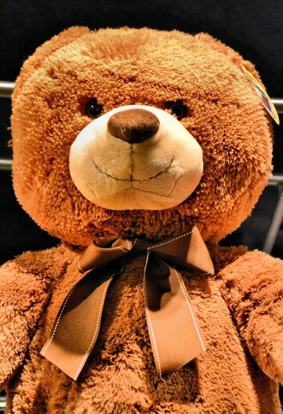 Brown Teddy Bear with Ribbon Tie from Faces on the Strip at Las Vegas, Nevada - Encircle Photos