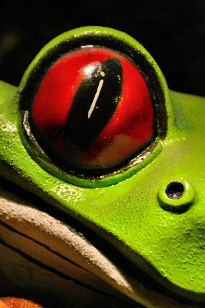 Señor Frog’s Sculpture Close Up from Faces on the Strip at Las Vegas, Nevada - Encircle Photos