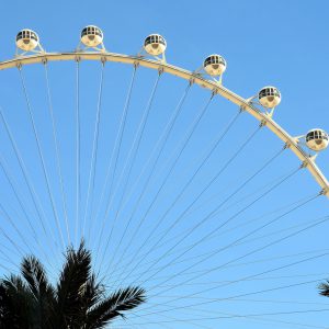 High Roller Ferris Wheel in Las Vegas, Nevada - Encircle Photos