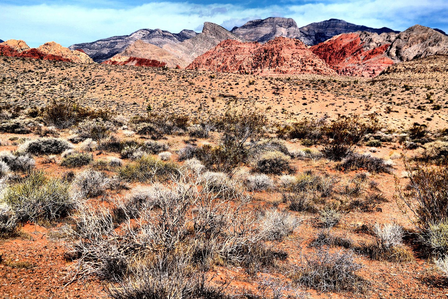 Scrub Brush and Mountains in Red Rock Canyon near Las Vegas, Nevada