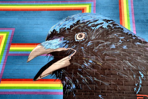 Black Raven Mural in Albuquerque, New Mexico - Encircle Photos