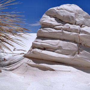 Gypsum Sand Rock and Soaptree Yucca in White Sands National Monument, New Mexico - Encircle Photos