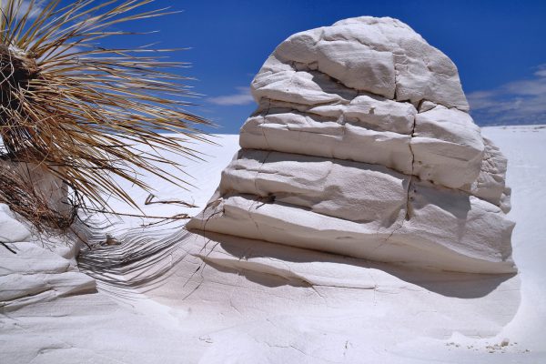 Gypsum Sand Rock and Soaptree Yucca in White Sands National Monument, New Mexico - Encircle Photos