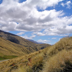 Crown Range Road in Cardrona Valley, New Zealand - Encircle Photos