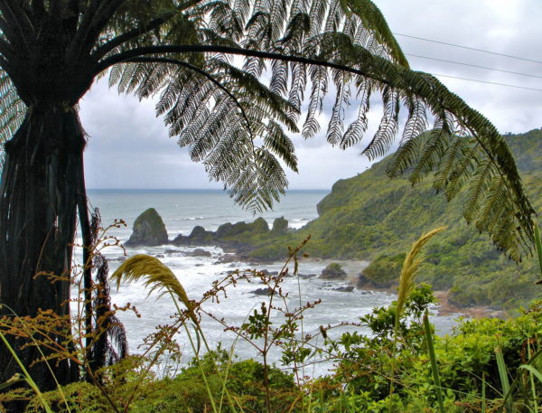 West Coast Rugged Shoreline in Charleston, New Zealand - Encircle Photos