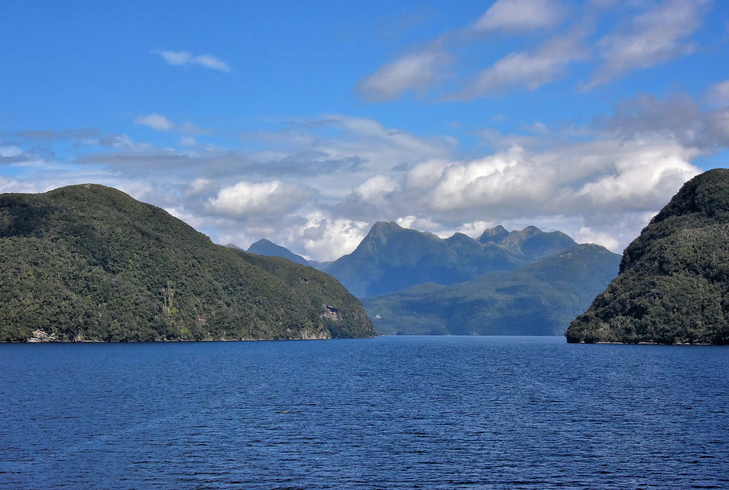 Wet Jacket Arm in Acheron Passage at Fiordland, New Zealand - Encircle Photos