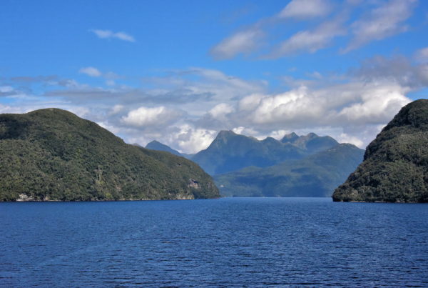 Wet Jacket Arm in Acheron Passage at Fiordland, New Zealand - Encircle Photos