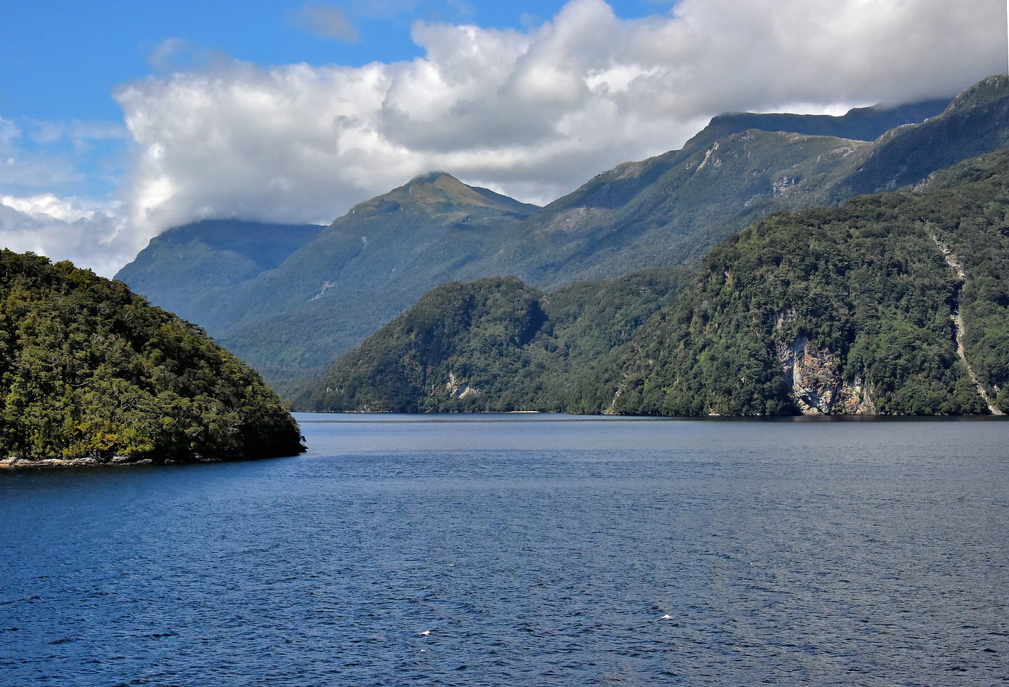 Fjord Verses Sound at Fiordland, New Zealand Encircle Photos