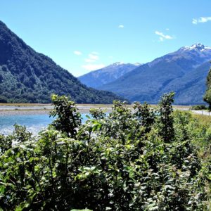 Haast River Valley near Haast, New Zealand - Encircle Photos