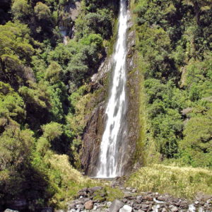 Thunder Creek Falls near Haast, New Zealand - Encircle Photos