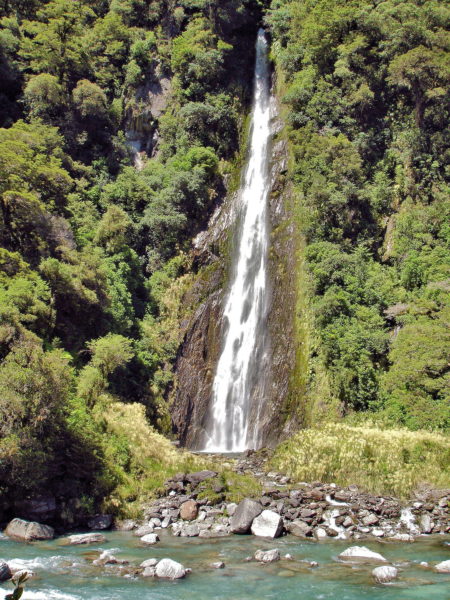 Thunder Creek Falls near Haast, New Zealand - Encircle Photos