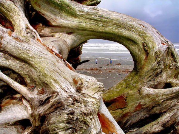 Searching for Jade on Hokitika Beach in Hokitika, New Zealand - Encircle Photos