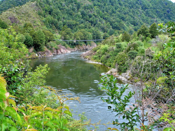 Buller Gorge Swingbridge near Murchison, New Zealand - Encircle Photos