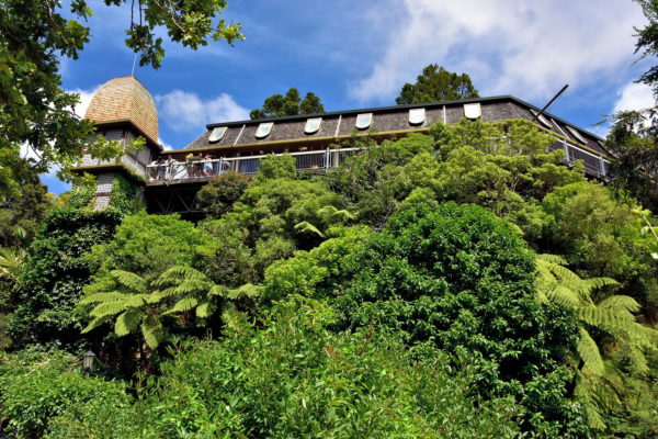Treehouse at Botanic Garden in Wellington, New Zealand - Encircle Photos