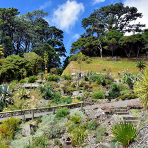 Botanic Garden Walkways in Wellington, New Zealand - Encircle Photos